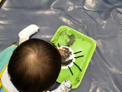 -金宝贝早教(万象城校区)