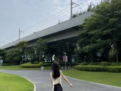 -宝安西湾红树林湿地公园