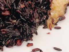 -鼎香皇高佬苏裹蒸粽