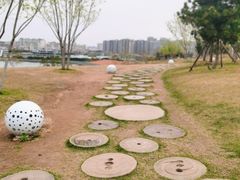 -小麦岛公园