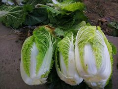 -武汉世外桃源农庄