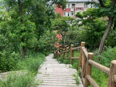 -白水寺森林公园