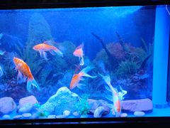 -宜昌富力皇冠假日酒店·咖啡1号西餐厅