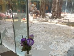 -白虎自助餐厅·真老虎·景观自助餐厅(广州长隆酒店)