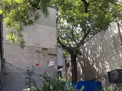 -锅儿挑面馆