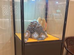 -粤珍轩·家宴·广式茶点(新城广场店)