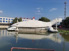 -东方巨龟苑景区