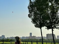 -汉长安城未央宫国家考古遗址公园