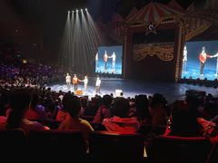 -珠海横琴长隆《卡卡虎奇遇记》