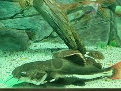 -常州海昌海洋探索馆