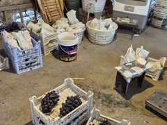 -马陆小张葡萄园农家乐