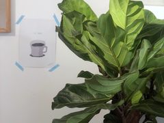 -Oasis coffee燕谷咖啡(公信店)