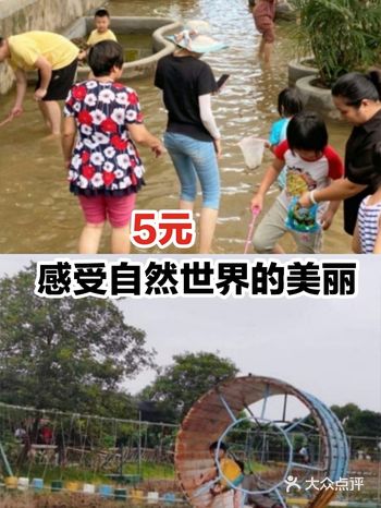 5元感受自然世界的美丽