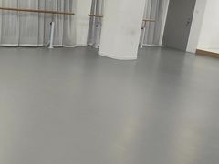 -西安小天鹅艺术团(金花路校区)