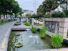 -荆川公园