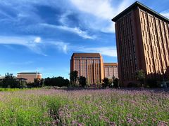 -浙江大学(紫金港校区)