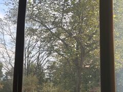 -鸡鸣汤包(红山动物园店)