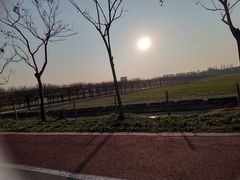 -上海长兴岛郊野公园