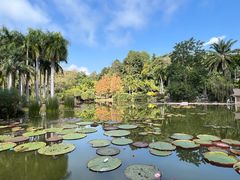 -中国科学院西双版纳热带植物园