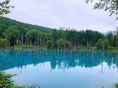-青池