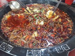 肥肠鱼-烧哥美蛙肥肠鱼火锅·十五年社区店