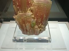 -安徽省地质博物馆