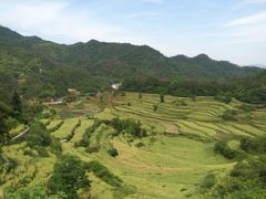 -灵山景区梯田