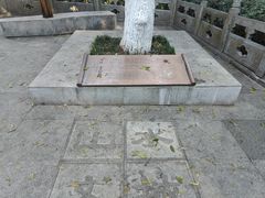 -北极阁公园