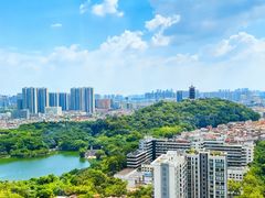 -安乐茶饭·手工素菜·高空景观餐厅(千灯湖店)