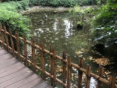 -二荆条·蜀鲜汇城市森林火锅