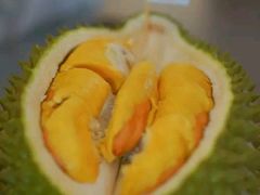 -都念榴莲·城市榴莲