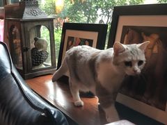 -咖法森林·咖啡  酒吧(天河店)