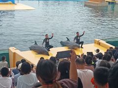 -秦皇岛乐岛海洋王国