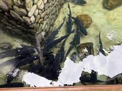 -耕渔小院·湖南鱼鲜(望城店)