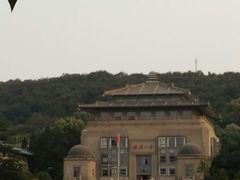 -武汉大学-樱园