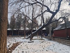 -小街天府(西工小街店)