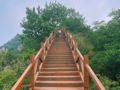 -大岭沟猕猴桃谷风景区