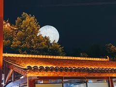 -巴倒烫陆派火锅山庄(南山总店)