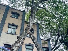 -颐和路民国时期公馆风貌区