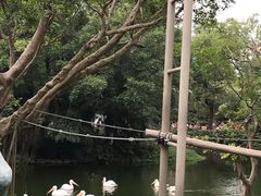-深圳野生动物园