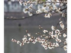 -东钱湖旅游度假区