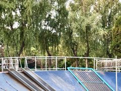-渭滨公园