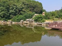 -北京西山国家森林公园