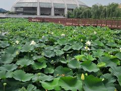 -湖北十堰武当太极湖
