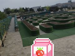 -莫子山公园