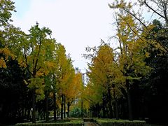 -苏州河梦清园环保主题公园