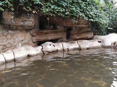 -龙达温泉生态城
