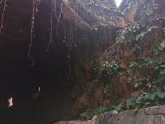 -亚马逊丛林水乐园