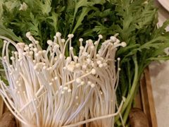 -蝎王府羊蝎子(北大地店)