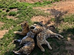-西霞口神雕山野生动物世界